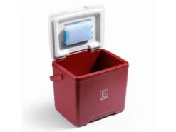 Brisby 13 Liter Koelbox - Red -Weber Verkoop 64f0b25b701697.28024303