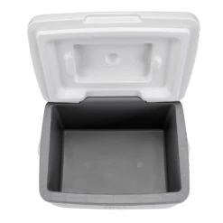 Brisby 8 Liter Koelbox Met 2 Koelelementen - White -Weber Verkoop 660c01b0d5c6f3.08198479