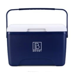 Brisby 8 Liter Koelbox Met 2 Koelelementen - Blue -Weber Verkoop 6638cd6454b122.87074178