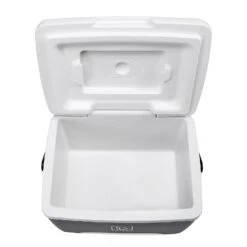 Merkloos Brisby 8 Liter Koelbox Met 2 Koelelementen - Black -Weber Verkoop 6638cd6604d9f5.25239323