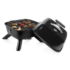 Princess 112256 Portable Hybride Barbecue -Weber Verkoop 668cf5245b6f82.31268419