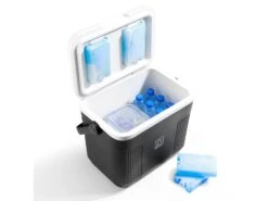 Brisby 22 Liter Koelbox - Black 11 Brisby 22 Liter Koelbox - Black -Weber Verkoop 7073e42fee5b291d