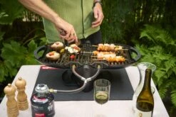 NomadiQ Model 3.0 Draagbare Gas Bbq - Black -Weber Verkoop aebff905adecaf02